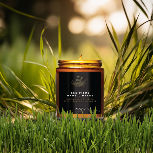 bougie de soya dans un décor avec de l'herbre