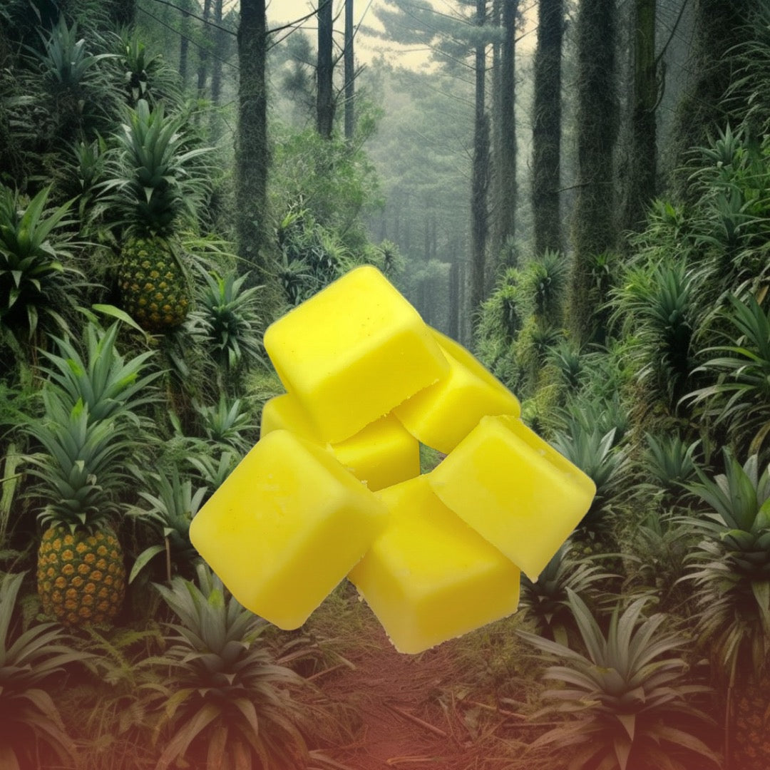 Cubes de cire de soya pour diffuseur