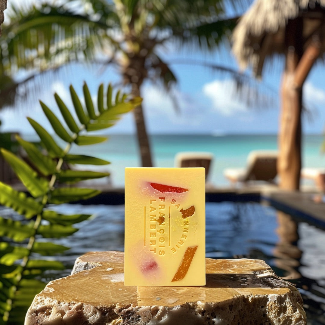 savon au lait de brebis et noix de coco, mangue et pêche sur une roche devant une piscine et la mer du sud