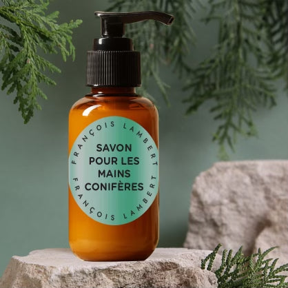 Coniferous Hand Soap 🌲