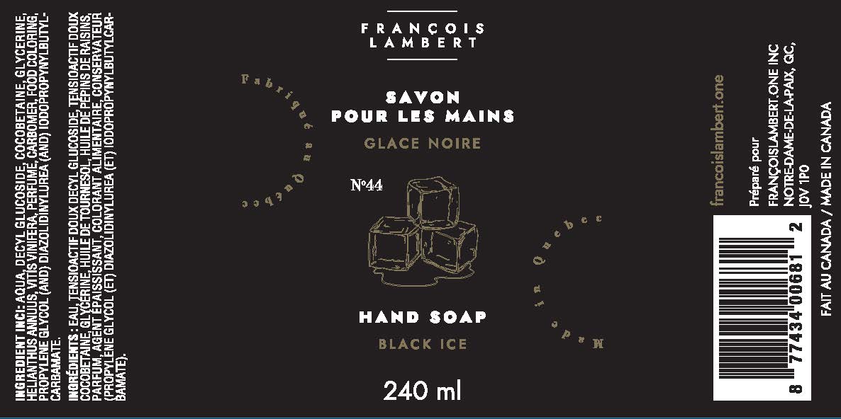Savon pour les mains en pompe - Glace noire