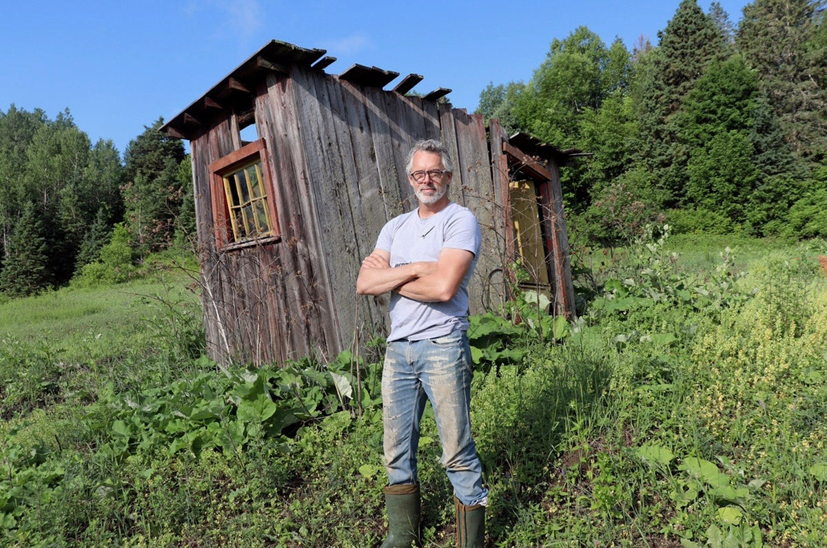 Si j'étais humoriste ou chanteur