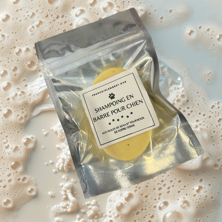 Shampoing naturel en barre pour chiens