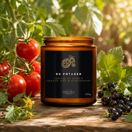 bougie de soya tomates et cassis
