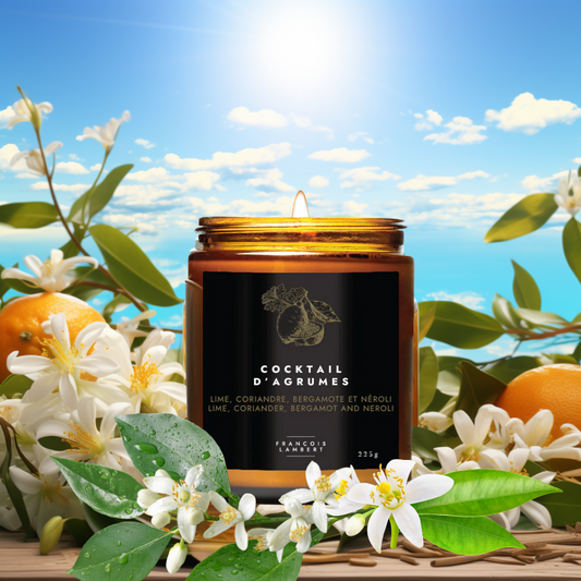 bougie cocktail d'agrumes