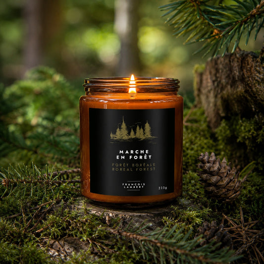 No.15 Marche en forêt - Bougie de soya, Forêt boréale