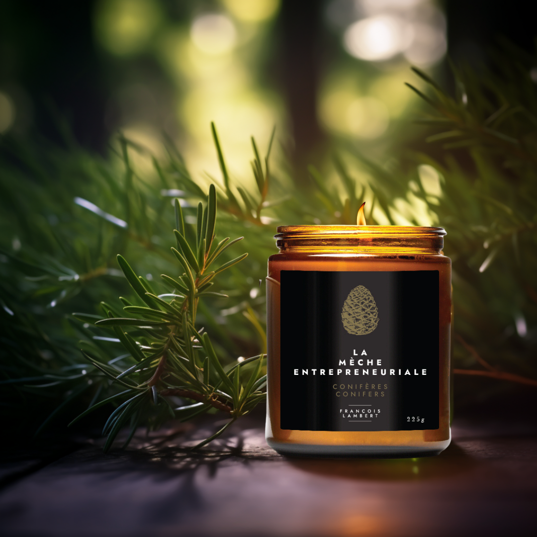 bougie de soya à la fragrance de conifères