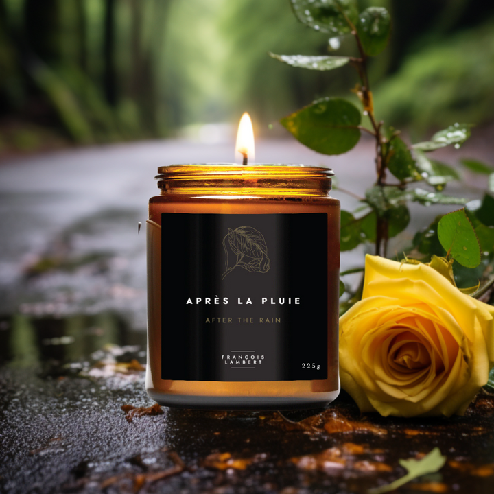 No.65 After the Rain - Earth Rain Soy Candle