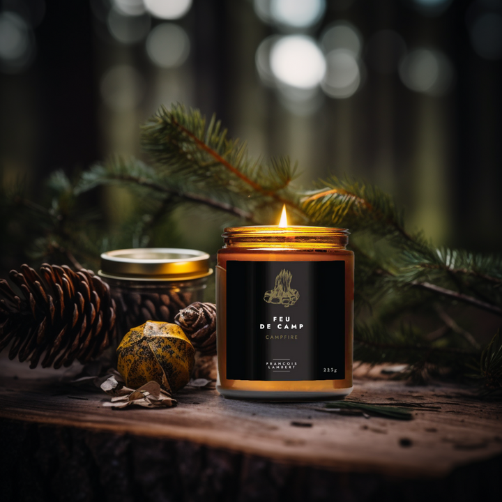 bougie de soya evoquand le feu de camp sur une souche de bois