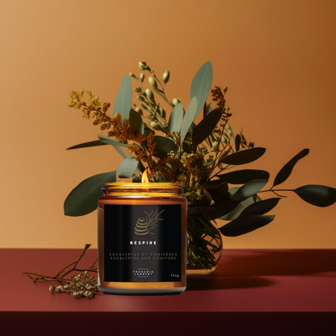 bougie dans un pot ambré qui invoque la sérénité eucalyptus et conifères