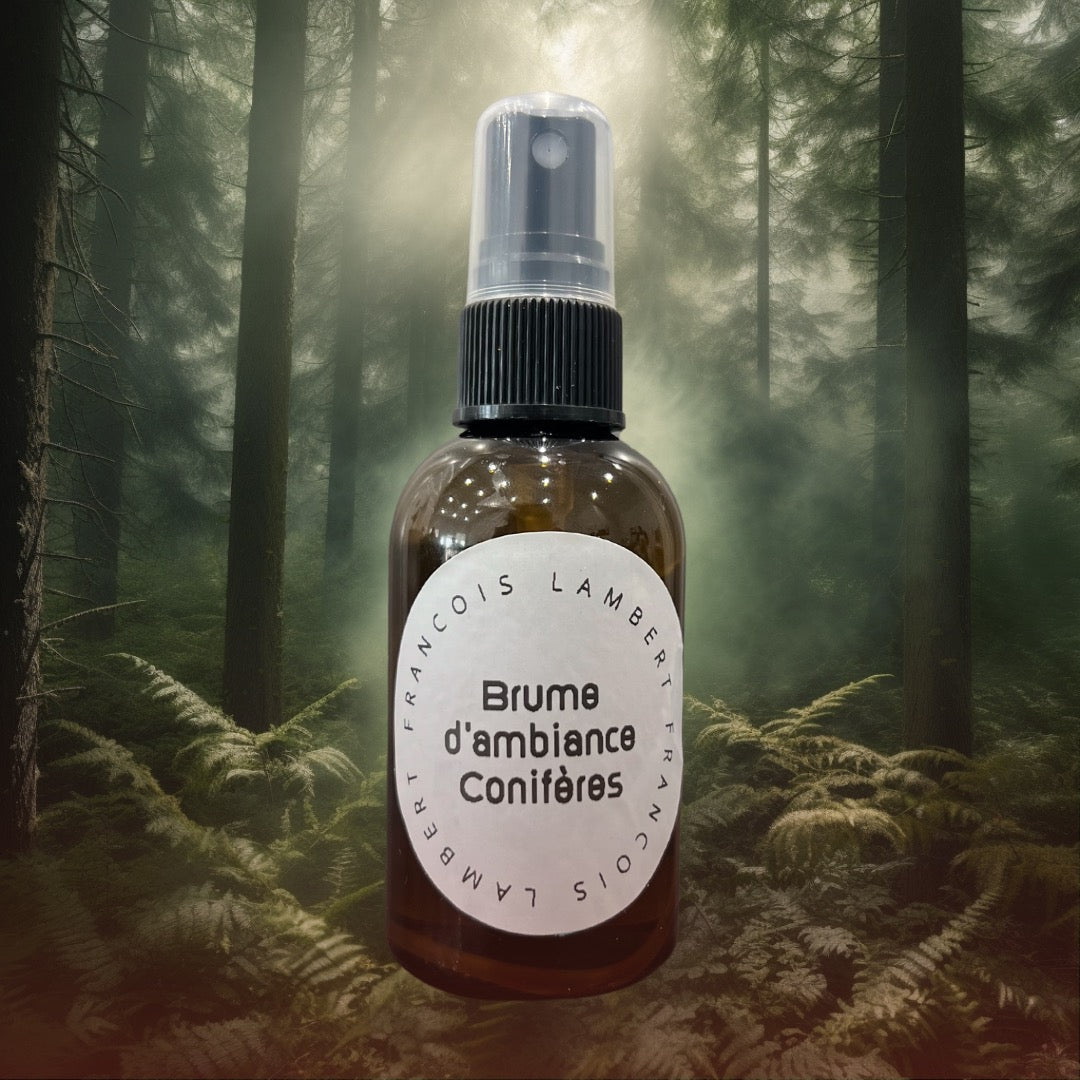 🌲✨ Ambient mist with Conifers