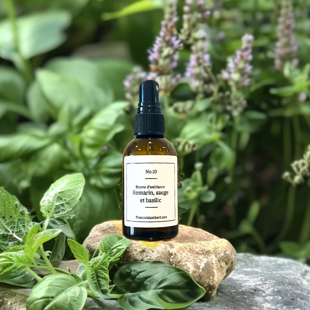 brume d'ambiance sauge, romarin et basilic sur une roche entouré de plante