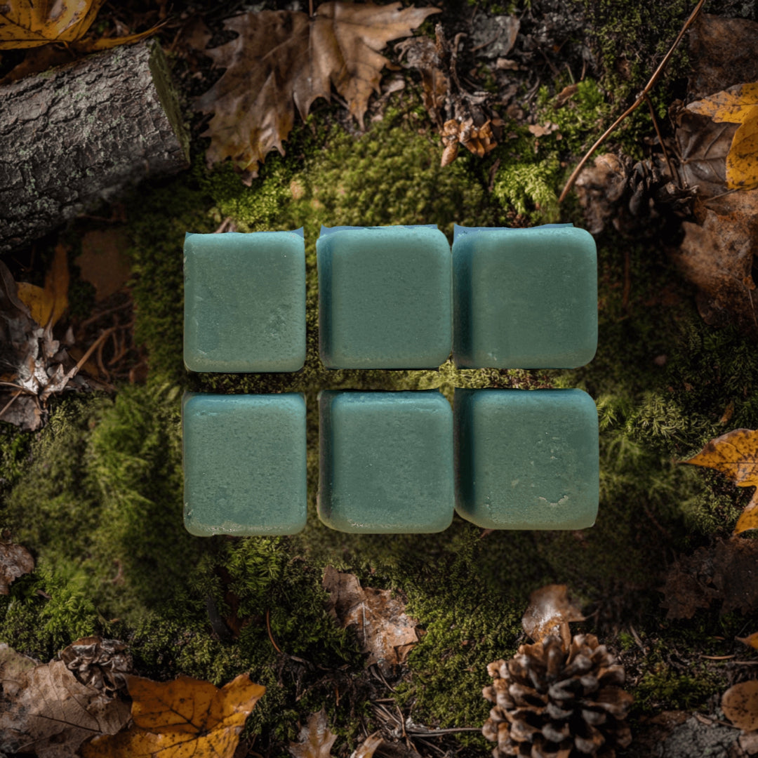 Cubes de cire de soya pour diffuseur - Fragrances variées