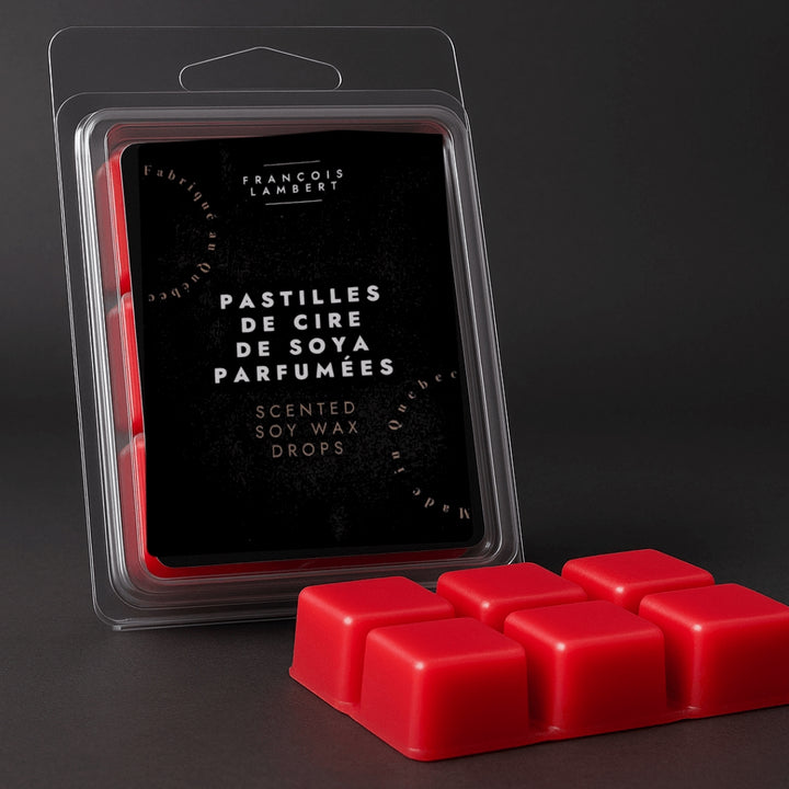 Cubes de cire de soya pour diffuseur - Fragrances variées