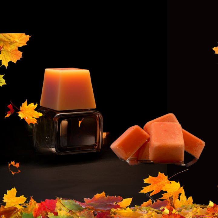 Cubes de cire de soya pour diffuseur - Fragrances variées
