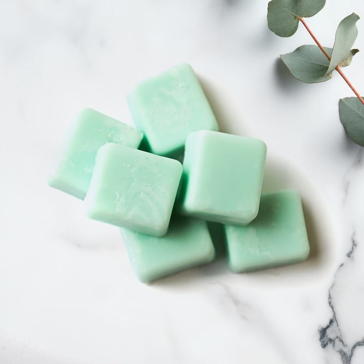 Cubes de cire de soya pour diffuseur - Fragrances variées