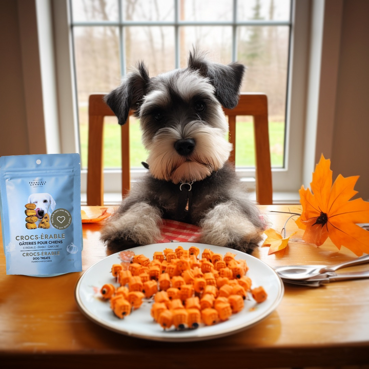 Biscuits pour Chien Naturels à la Citrouille et au Sirop d’Érable
