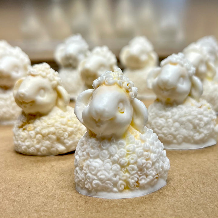 No.5 Sheep&