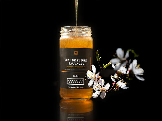 miel de fleurs sauvages francois lambert