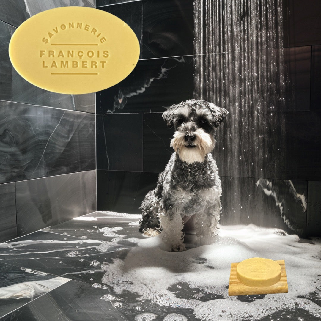 shampoing en barre pour chiens