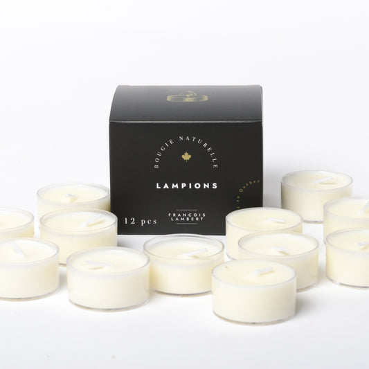 Boîte de 12 lampions unis