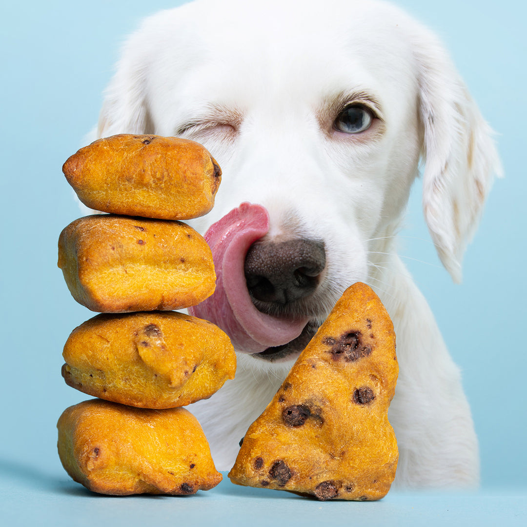 Biscuits pour Chien Naturels à la Citrouille et au Sirop d’Érable